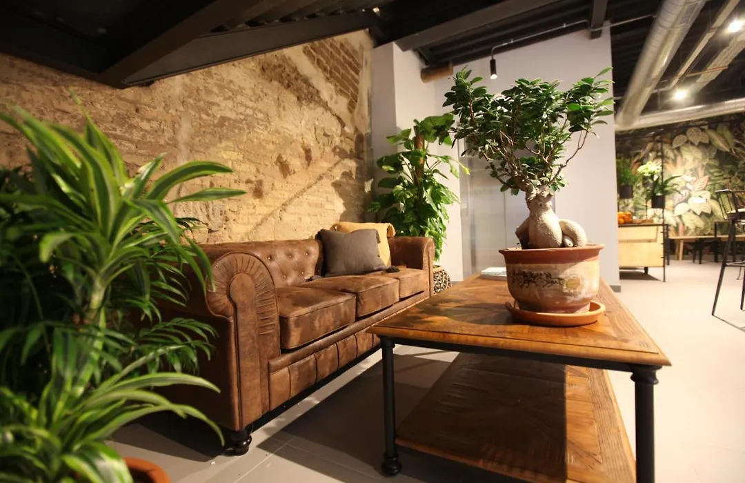 Vtz The Botanic Hostel-1