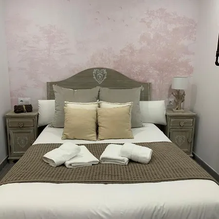 Vtz The Botanic Hostel-3